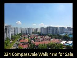 Blk 234 Compassvale Walk (Sengkang), HDB 4 Rooms #118342062